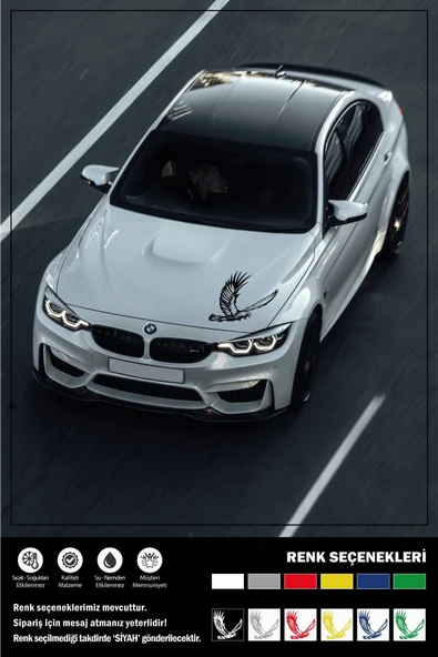 Ecce KARTAL STICKER 25 x 25 cm - Resim 2