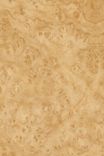 Ecce Desenli Kendinden Kendinden Yapışkanlı Kaplama Folyosu 45 Cm X 2 Mt Dsn0114-2 ürün görseli