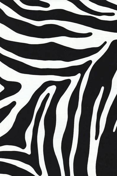 Ecce Desenli Kendinden Kendinden Yapışkanlı Kaplama Folyosu 45 Cm X 2 Mt Dsn0079-2 ürün görseli