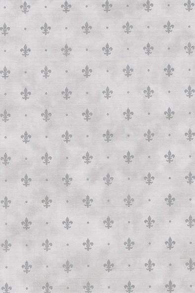 Ecce Desenli Kendinden Kendinden Yapışkanlı Kaplama Folyosu 45 Cm X 2 Mt Dsn0020-2 ürün görseli