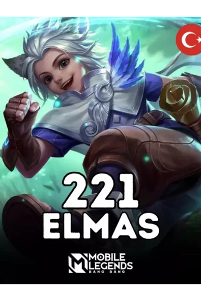 221 Elmas Tr