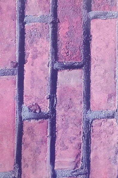 Ecce Desenli Kendinden Kendinden Yapışkanlı Kaplama Folyosu 45 CM X 1 Mt ELF009 ürün görseli