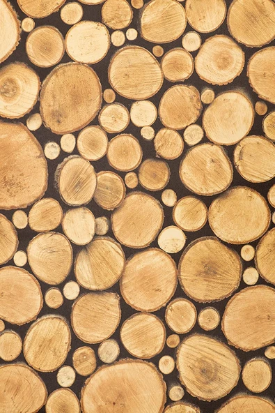 Ecce Desenli Kendinden Kendinden Yapışkanlı Kaplama Folyosu 45 Cm X 2 Mt Dsn0002-2 ürün görseli