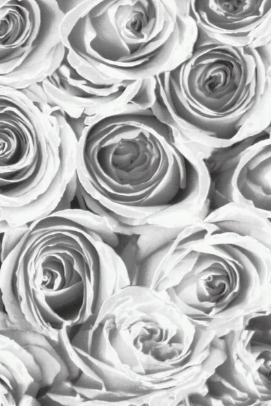 Ecce Desenli Kendinden Kendinden Yapışkanlı Kaplama Folyosu 45 Cm X 5 Mt Dsn0029-5 ürün görseli