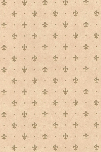 Ecce Desenli Kendinden Kendinden Yapışkanlı Kaplama Folyosu 45 Cm X 5 Mt Dsn0072-5 ürün görseli