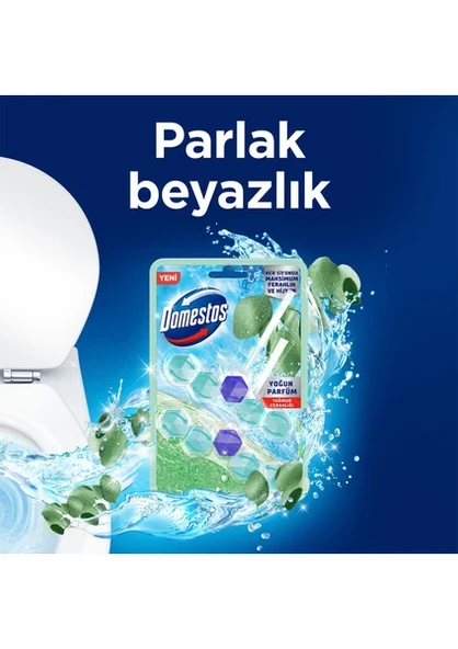 Domestos Tuvalet Bloğu Yağmur Ferahlığı 100 G