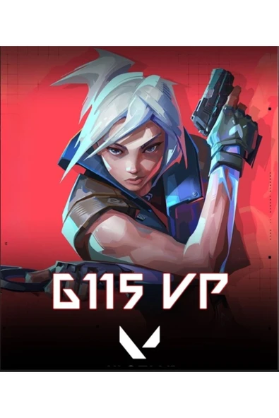 ZesaBilişim Valorant 6115 VP