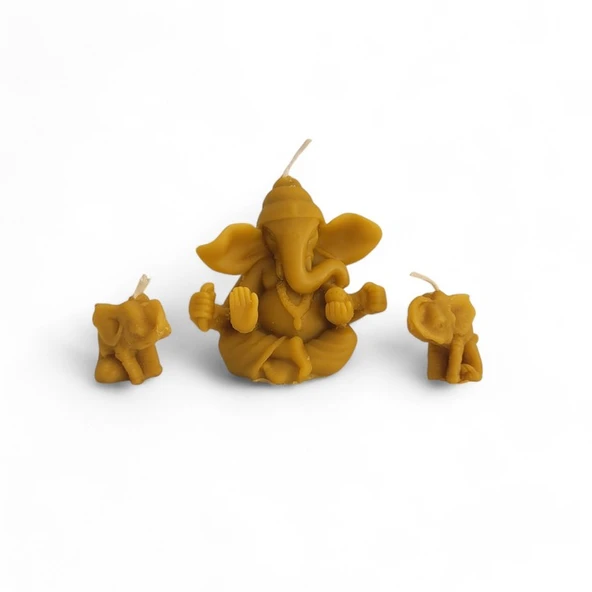 Bal Mumu Ganesha ve İkili Küçük Fil Set - 2