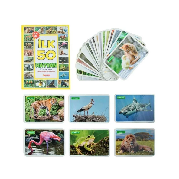 1352FlashCardsİlk50Hayvan-Dıytoy - 2