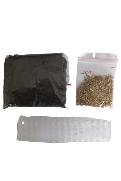 Hs Tarım Kedi Çimi Tohumu Paket Cat Grass - 5