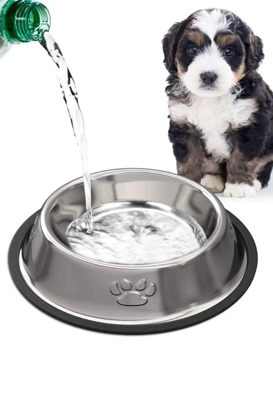 Hs Tarım Kedi Ve Küçük Irk Köpek Çelik Mama Kabı 16 Oz - 3