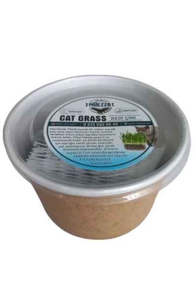 Hs Tarım Kedi Çimi Tohumu Paket Cat Grass - 3
