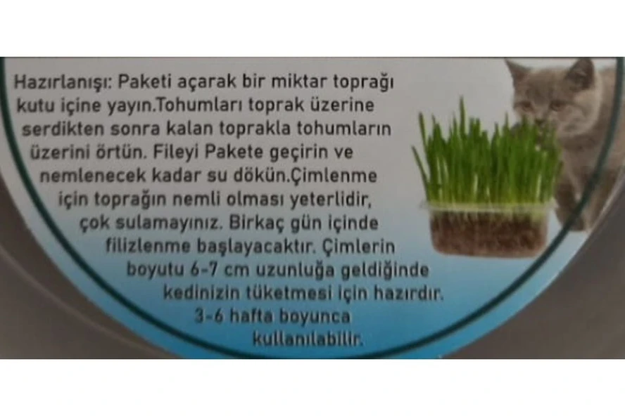 Hs Tarım Kedi Çimi Tohumu Paket Cat Grass - 6