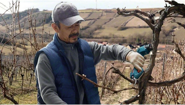 Bosch Pro Pruner Akülü Bahçe Makası (Akü ve Şarj Cihazı Dahil Değildir) - 06019K1020 - 6