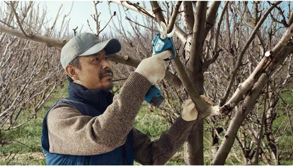 Bosch Pro Pruner Akülü Bahçe Makası (Akü ve Şarj Cihazı Dahil Değildir) - 06019K1020 - 5