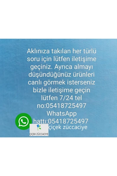 Penguen Metalik 9,5 lt İçi Dışı Paslanmaz Çelik İnox Su Termosu 1295C - 6