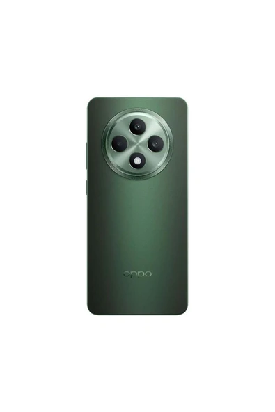 Reno 11 FS 8 - 256 GB Zeytin Yeşili - 2