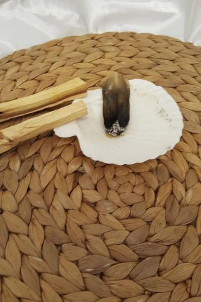 Palo Santo Nazar a Doğal Tütsü Pala Santo 2 Adet Ağaç Tütsü İstiridye  Palosanto luk ile Beraber Hexa Ağacı  Yoga PalaSa