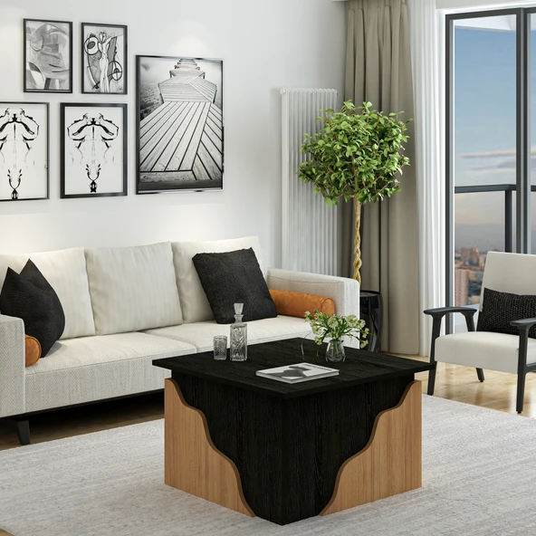 S0010 Style Orta Sehpa Ahşap Siyah/Safir Meşe