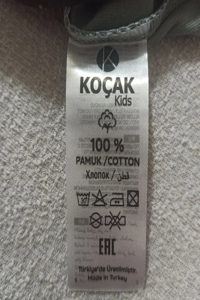 Kartal Desenli Mavi Renk Erkek Çocuk Şortlu Takım - 4