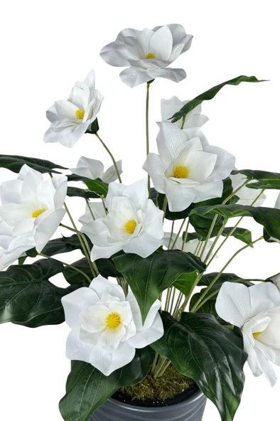 Nettenevime Yapay Çiçek Manolya Antrasit Kumsal Vazoda 125*60cm - Resim 6