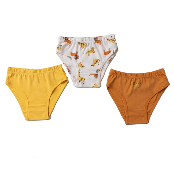Erkek Bebek 3lü Slip Külot