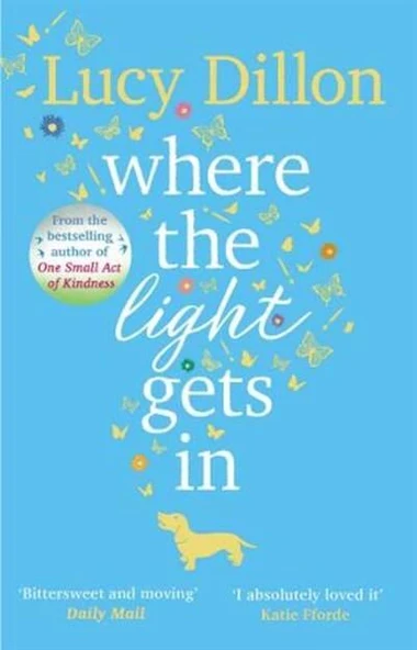 Where The Light Gets In - Lucy Dillon