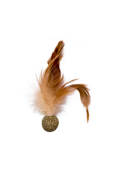 Eastland Catnip Oyuncağı Tüylü Top 3,5 M