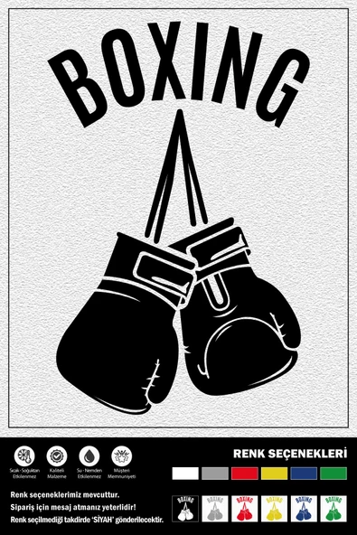 BOXING STICKER 15 x 10 cm ERU00084