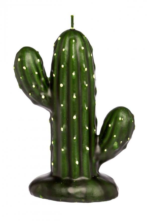 Mart Home Kaktüs Mum