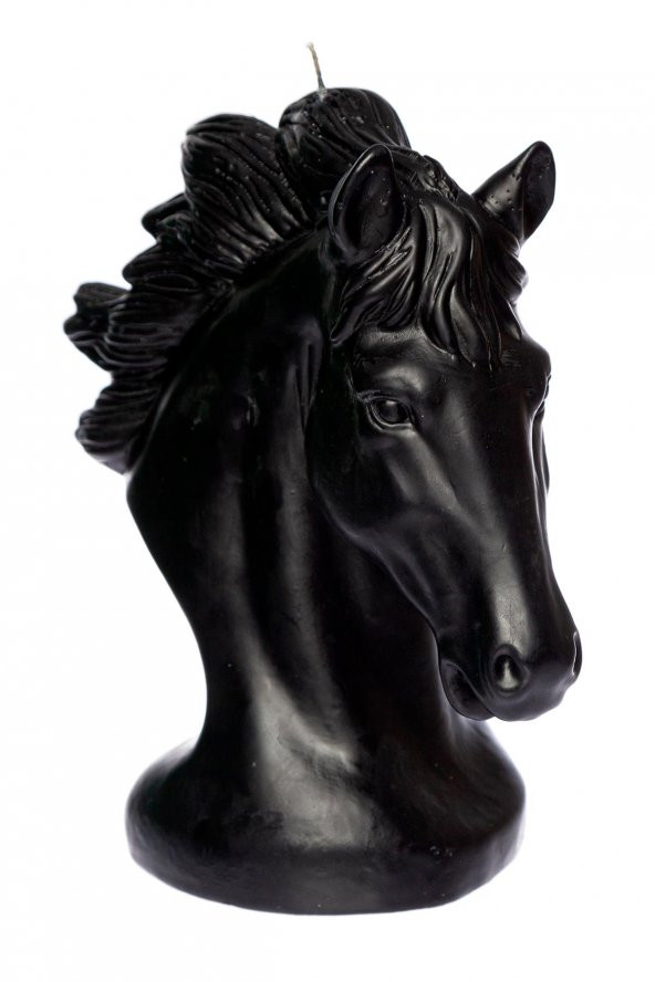 At Mum - Büyük Siyah - 3