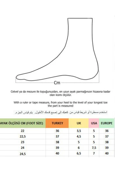 Muggo SVETLANA İnce Şerit Detaylı Bağcıklı Günlük Kadın Sneaker Spor Ayakkabı  BEJ 39 - 4
