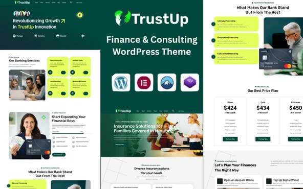 TrustUp-Finance & Consulting WordPress Teması - 1
