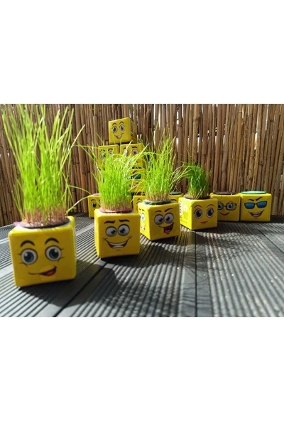 ÇİM ADAM 24 ADET KÜP ŞEKLİNDE EMOJİLİ ÇİMOJİ - 2