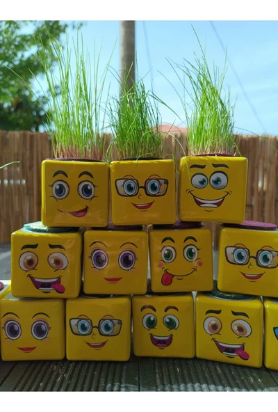 ÇİM ADAM 24 ADET KÜP ŞEKLİNDE EMOJİLİ ÇİMOJİ - 4