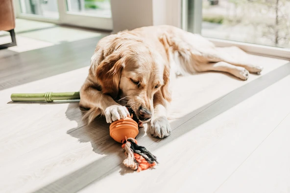 Beeztees İpli Turuncu Top 31,8x7,9x7,9 - Resim 2