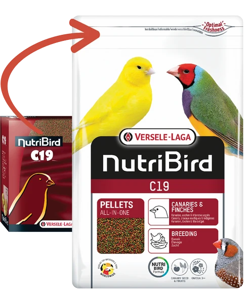 Versele Laga Nutrıbırd C19 Kanarya - Finch Pelet Yem 10kg
