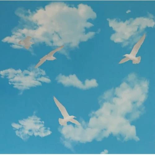 aym akasya yapı market 60x60 Pvc Asma Tavan Paneli Bulut Desen 20 Adet ( 7,20 M2 ) ''ürünlerimiz Sadece Panel Satışlıdır''