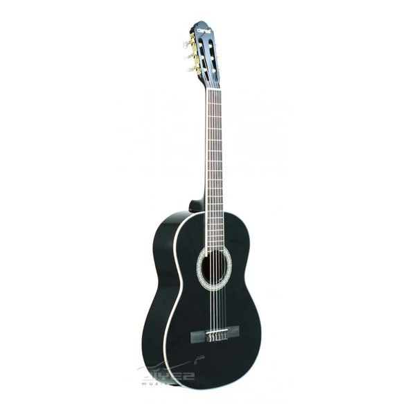 Clariss CCG100 BK Klasik Gitar (Taşıma Çantası Hediyeli) ürün görseli 1