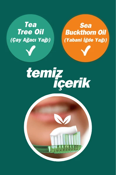 TTO DİŞ MACUNU 75 ML (FLORÜRSÜZ) - 2