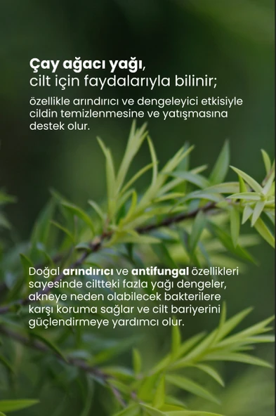 DERMODEX VÜCUT SPREYİ 200 ML Kene Kovucu,Uyuz, Mantar, Bit - 7