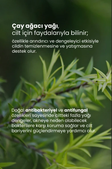 Tto Saç Ve Vücut Şampuanı 500 ml Black ( Çay Ağacı Yağı / Tea Tree Oıl) - 5