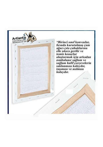 Kare Tuval 4 Adet 10x10 20x20 30x30 40x40 cm Boş Tuval Tablo 6 lı Akrilik Boya Fırça Palet Resim Tuvali Akrilik Yağlı - 4