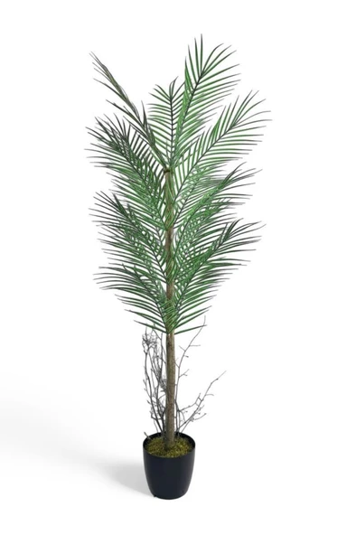 Yapay Ağaç Palmiye 135*50Cm 20Yaprak Areka Ağacı Siyah Saksıda Tek Gövdeli