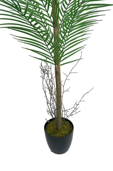 Yapay Ağaç Palmiye 135*50Cm 20Yaprak Areka Ağacı Siyah Saksıda Tek Gövdeli - 5