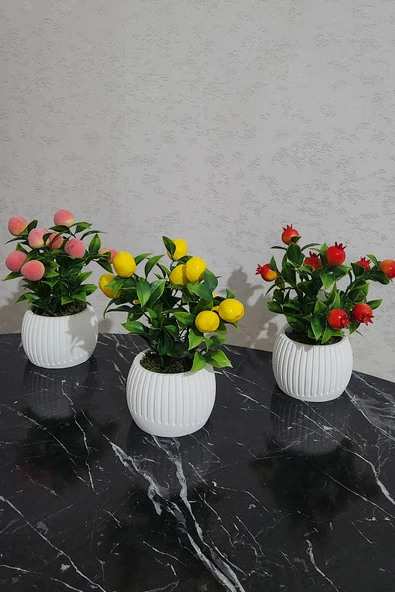 Anneler Günü Modern Beton Saksıda 3'lü Set Nar Şeftali Limon Saksıda Yapay Meyve Ağacı - 4