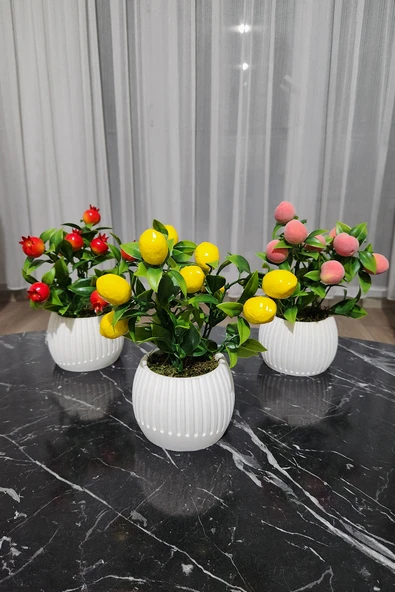 Anneler Günü Modern Beton Saksıda 3'lü Set Nar Şeftali Limon Saksıda Yapay Meyve Ağacı - 2
