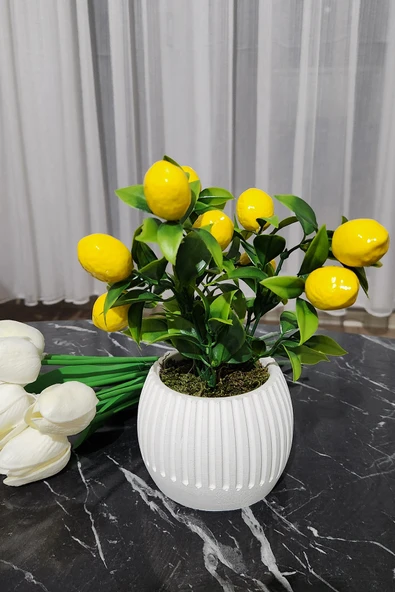 Anneler Günü Modern Beton Saksıda 3'lü Set Nar Şeftali Limon Saksıda Yapay Meyve Ağacı - 7