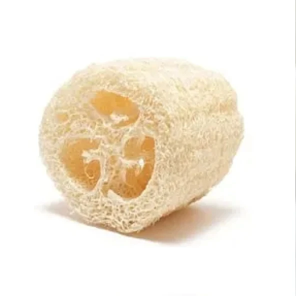 Kabak Lifi Ham Parça, 15-18 cm, 2 Adet Derya Eren - 8