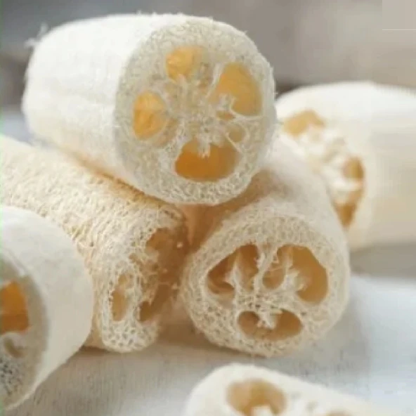 Kabak Lifi Ham Parça, 15-18 cm, 2 Adet Derya Eren - 4